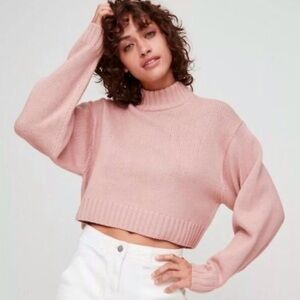 Aritzia / Wilfred Free Harper Cropped Turtleneck Sweater